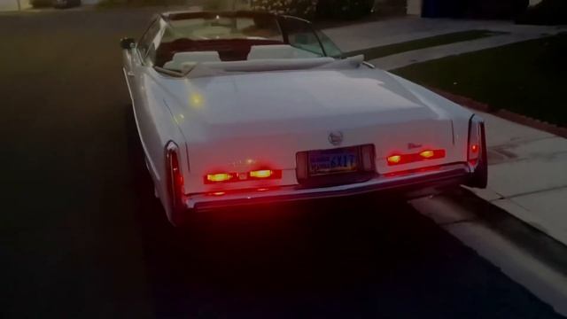 74 EL dog смотреть онлайн