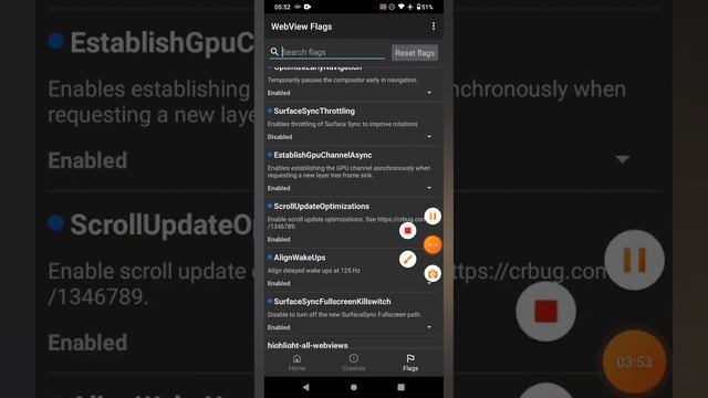 😍 NOVAS CONFIGURAÇÕES DE PERFORMANCE NO WEBVIEW BETA, AUMENTA MUITO FPS EM JOGOS смотреть онлайн