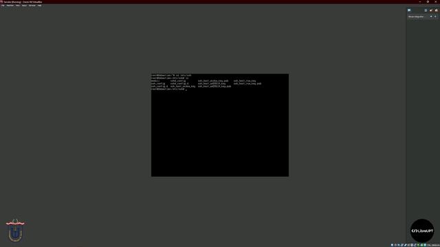Instalacion de Debian y servidor Apache смотреть онлайн