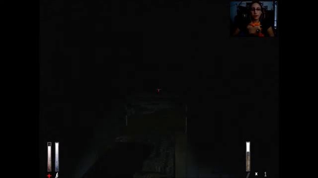 I Will Not Kill Myself! - Cry Of Fear - Part 4 смотреть онлайн