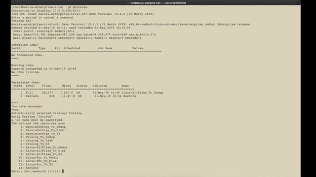 Bacula Trial Scenario 3: Run a Backup Job with Bconsole смотреть онлайн