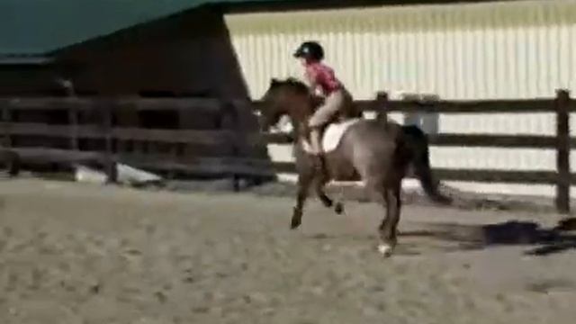 Eve's second attempt to jump Star with no hands смотреть онлайн