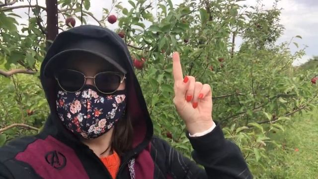 Five Apples смотреть онлайн