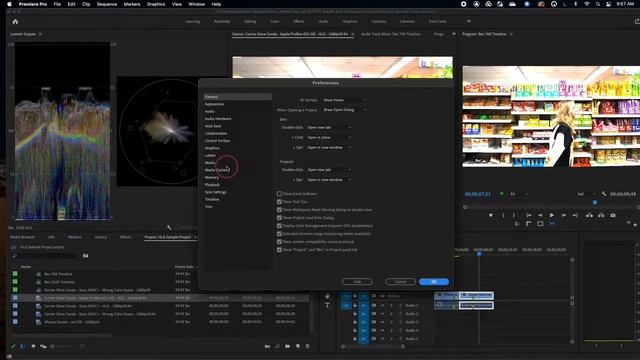 Premiere Pro V22 - Understanding Color Spaces, HDR, and what that might mean to you смотреть онлайн