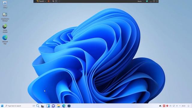 【windowsパ〇リOS!?Windowsfx入れて遊んでみた　#linux смотреть онлайн