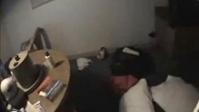 bird flies straight into window, has heart attack (not really) смотреть онлайн