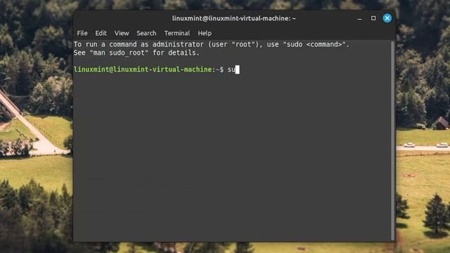 Destroying Linux Mint 21.2! смотреть онлайн
