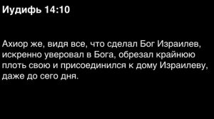 День 138. Библия за год. С митрополитом Иларионом.