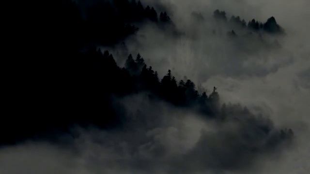 Billy F. Gibbons - S-G-L-M-B-B-R (Lyrics)