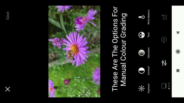 How To Colour Grade Your Videos On Android |Cinematic Colour Grading Effect| 100%Easy Method | смотреть онлайн