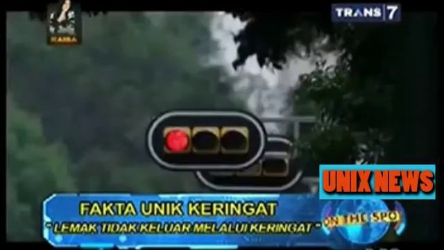 ON THE SPORT 7 FAKTA UNIX TENTANG KERINGAT смотреть онлайн