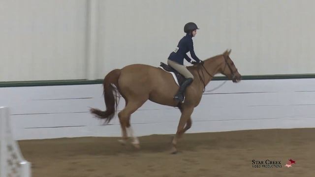 Charlotte Graham & Lazarus - Modified Chld Htr Class 195 - Ledges A1 Feb 2021