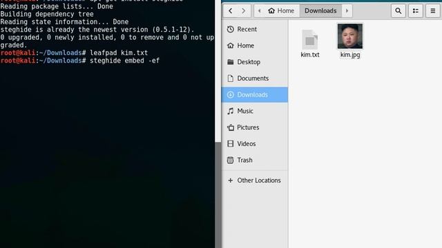 USE STEGHIDE ON KALI LINUX TO COMMUNICATE смотреть онлайн