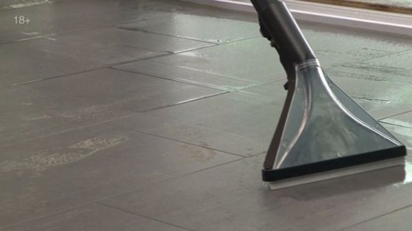 Моющий пылесос Karcher SE 5