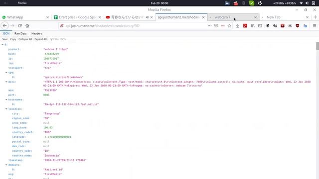 Simple shodan API смотреть онлайн