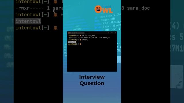 How To Use sudo To Run Commands As Another User. смотреть онлайн