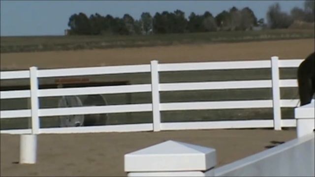 Aria's Pre-Show Warm-up