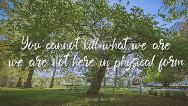 - Aurora - apple tree (Lyric video) - смотреть онлайн