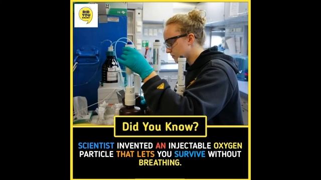 Did You Know Facts ? |The Amazing Fact #1 | Daily Fact Videos | Factology смотреть онлайн
