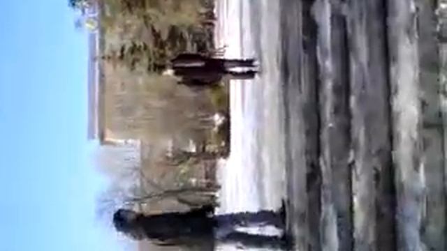 seat on your ass смотреть онлайн