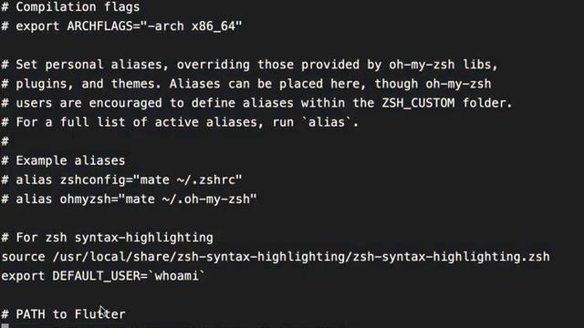 set zsh flutter path смотреть онлайн