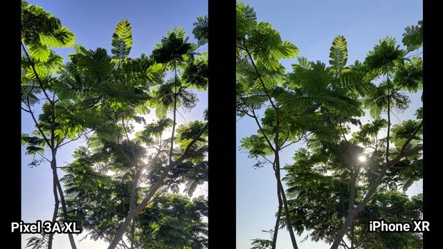 Google Pixel 3a XL Vs IPhone XR Camera Test