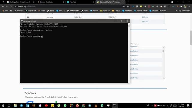 #1 turtle|| how to check that your pc has turtle installed or not. смотреть онлайн