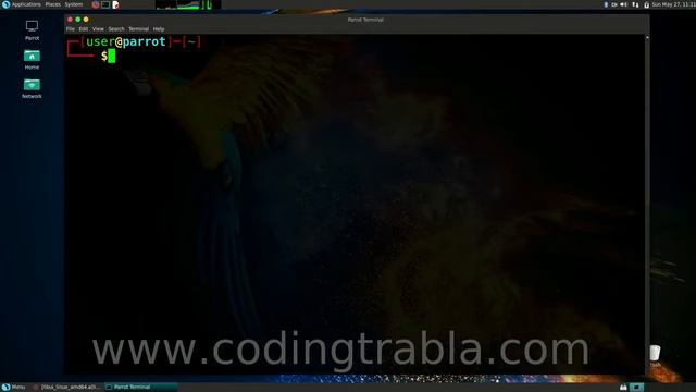 How to Set Go Variables Quick Guide with Terminal on Parrot Security Linux смотреть онлайн