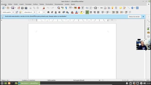 Linux Mint 20, Instalação passo a passo. смотреть онлайн