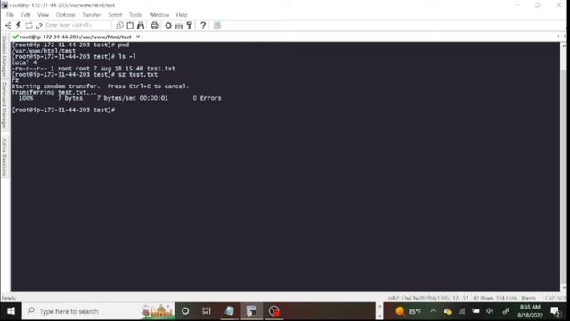 Download and Upload Files | Learn Some Linux Commands - Extra смотреть онлайн