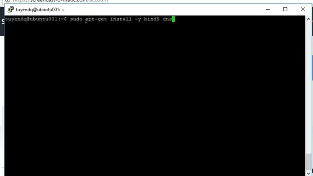 Ubuntu: Install bind9 (dns service) смотреть онлайн
