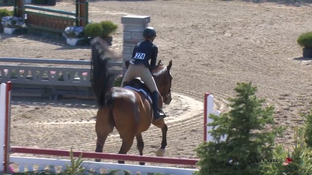 Mya Pinski & Lord Mayor's Bentley - WIHS Childrens Htr Classic - Ledges Spring Warm Up II May 2019
