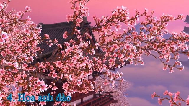Top 7 Screensaver đẹp long lanh dành cho máy tính giúp người sử dụng thư giãn смотреть онлайн