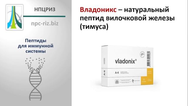 Пептиды для иммунной системы