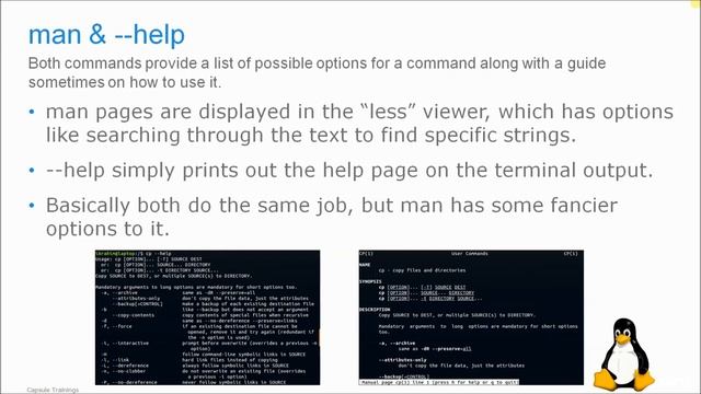 Linux Command Line Interface and BASH Scripting - man and help смотреть онлайн