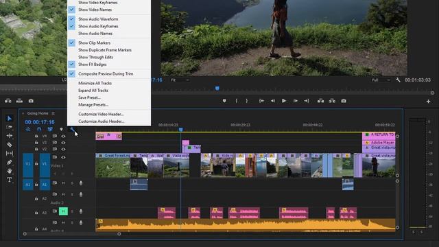 Adobe Premiere - Record a voice-over смотреть онлайн