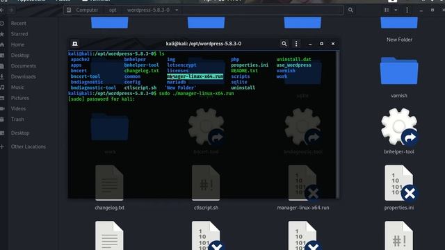 RUN WORDPRESS in LINUX || how to run wordpress after install in linux || смотреть онлайн
