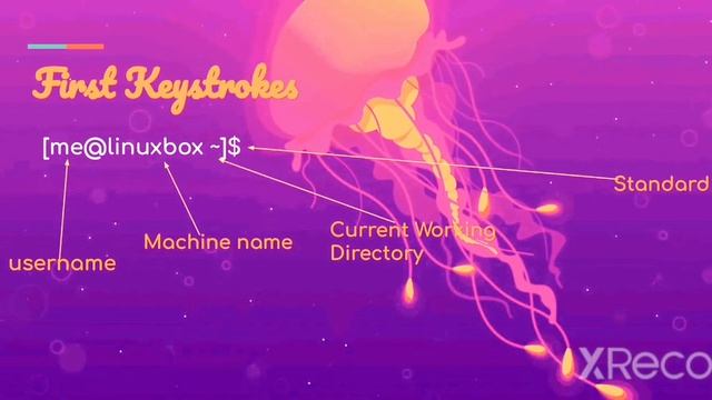 Linux commands - 1 смотреть онлайн
