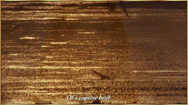 CELINE DION - The First Time Ever I Saw Your Face