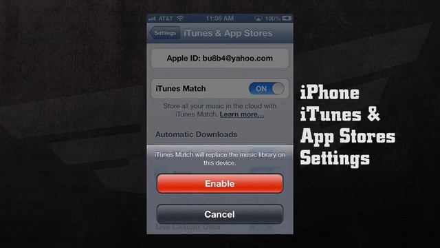 IPhone IOS 6 Settings ITunes & App Stores Settings Guide