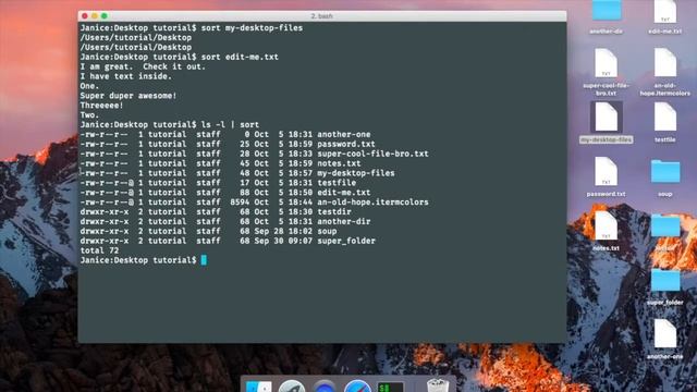 Terminal #7 - Redirecting Input and Pipes смотреть онлайн