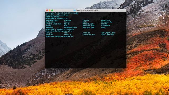 Learn Command Line pt 1 - Terminal Navigation смотреть онлайн