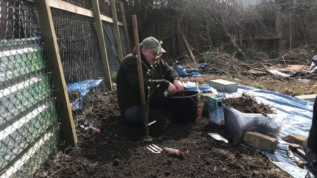 digging beds and planting a apple tree смотреть онлайн