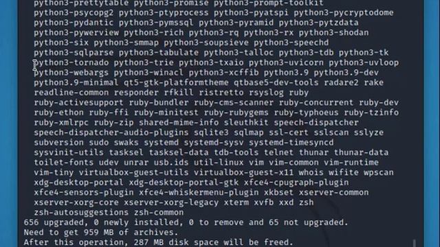 How to update and upgrade Kali Linux смотреть онлайн