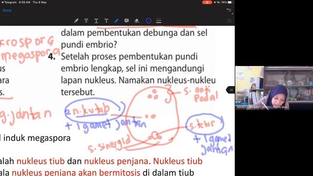 Bio 5 UM B6 proses pembentukkan gamet & persenyawaan ganda dua смотреть онлайн