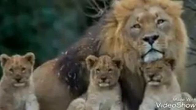 Мамуржон.домла