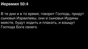 День 216. Библия за год. С митрополитом Иларионом.