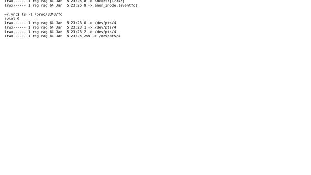 Unix & Linux: vnc: unable to get a shell prompt with the default opened terminal application смотреть онлайн