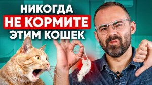 Худший рацион питания для кошек, который только можно представить