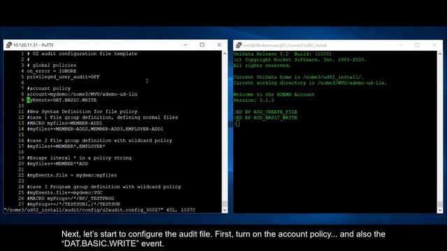 Advanced Audit Group Definition смотреть онлайн